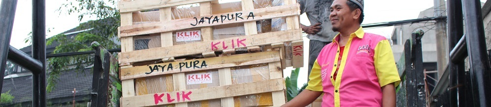 pengiriman barang murah ke papua